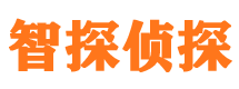 万全市侦探公司